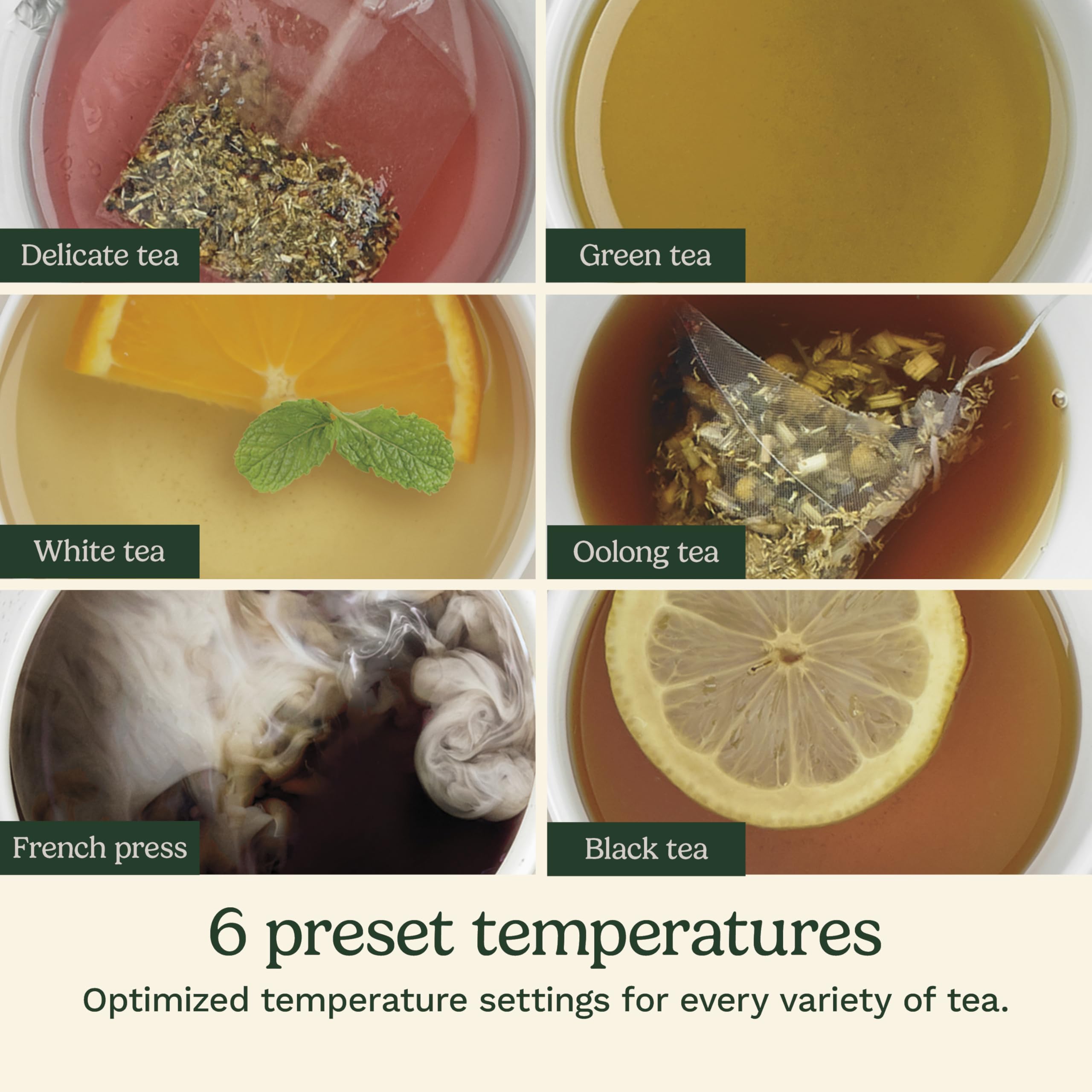 Cuisinart PerfecTemp 1.7-Liter Electric Kettle, Cordless Electric Tea Kettle, 1500W for Fast Heat-Up, 6 Preset Temperatures, 30-Minute Keep Warm, Stay Cool Nonslip Handle, CPK-17P1 - Image 7